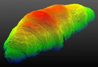 Image du produit Contrôle 3D