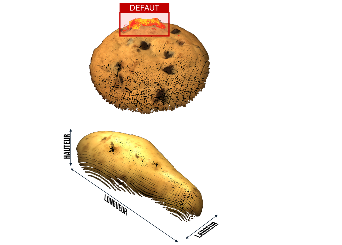 Comprendre les défauts
