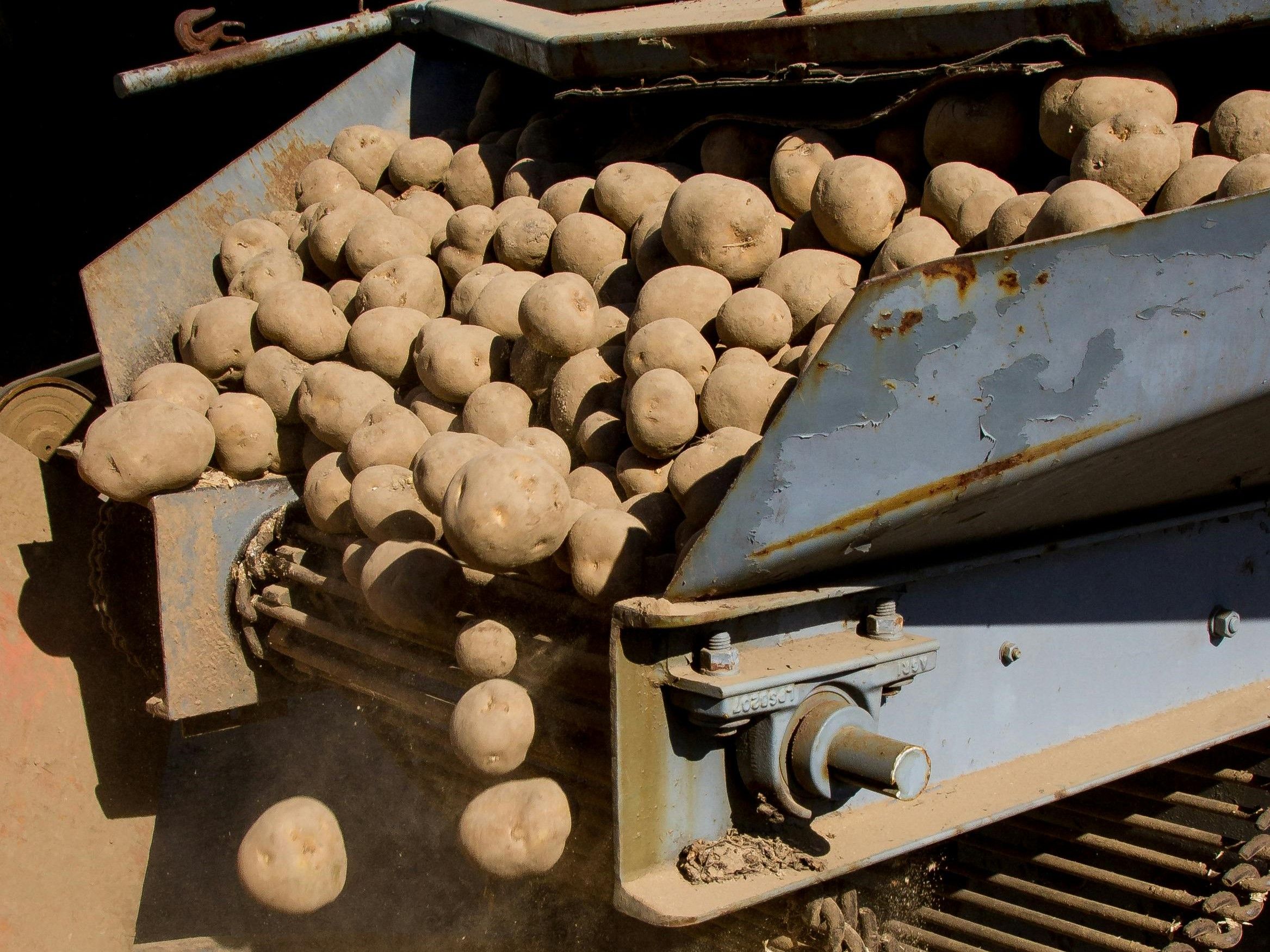 Photo du secteur Agroalimentaire