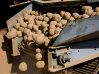 Image du produit Agroalimentaire